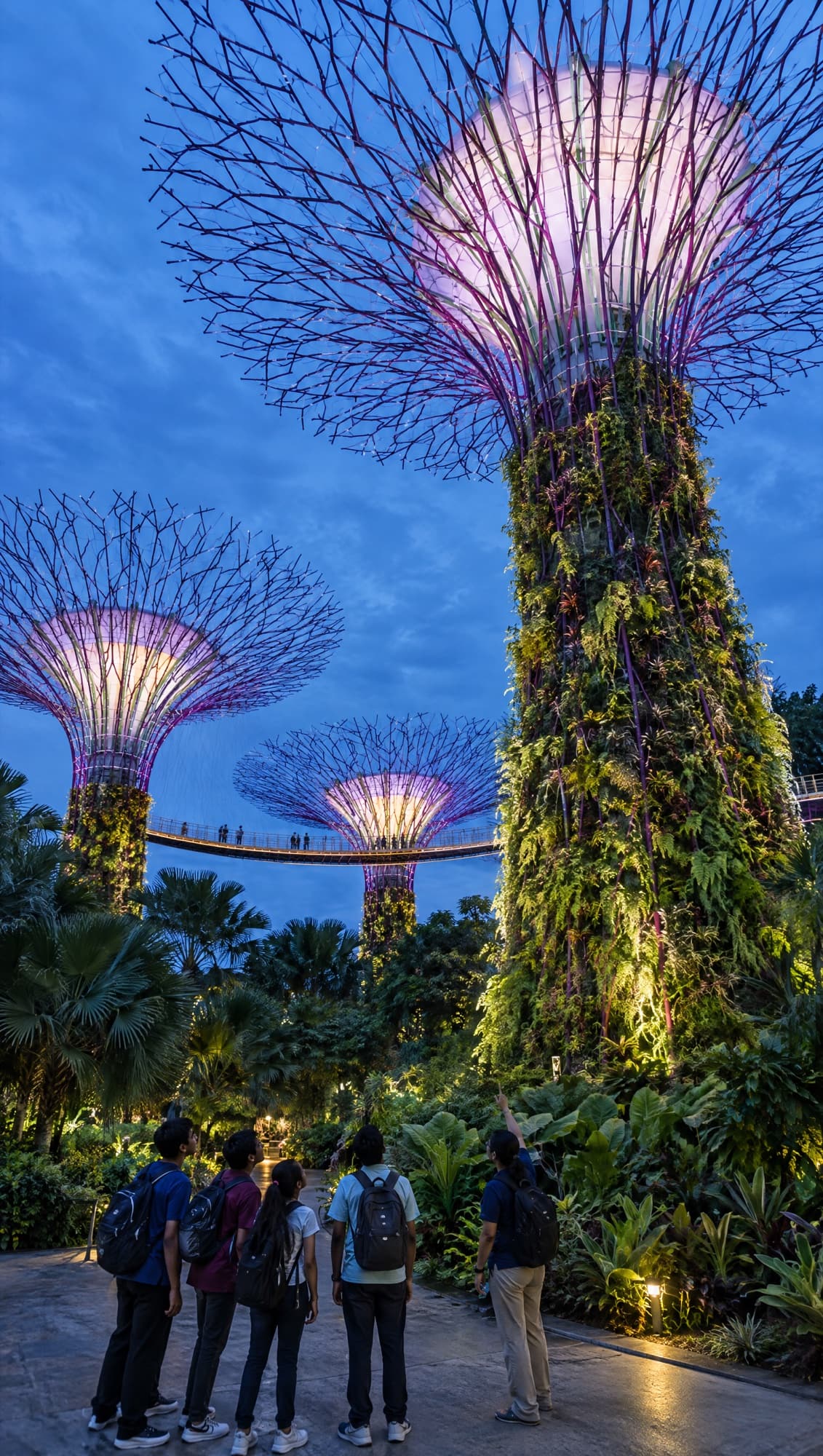 Students look up at tall garden structures covered in plants, lit purple at night, in Singapore.